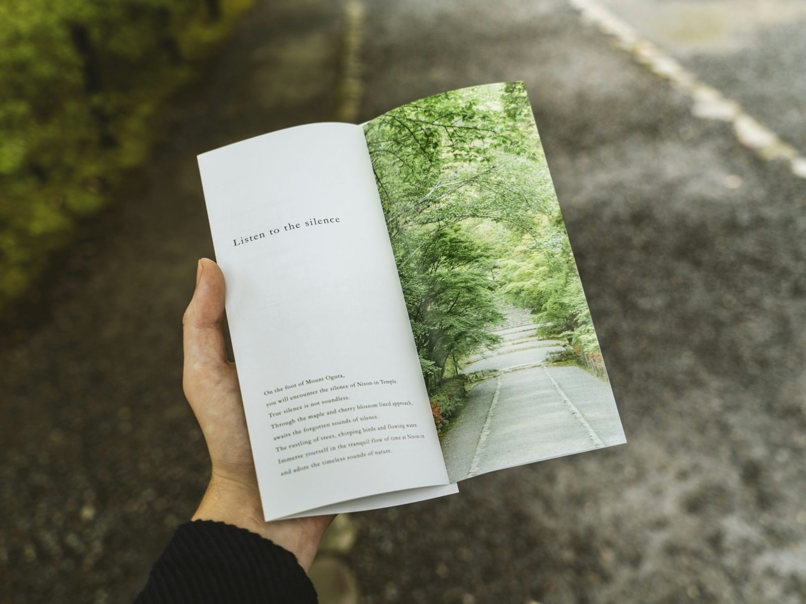 Hand hält einen aufgeschlagenen Falzflyer mit Naturfoto im Freien
